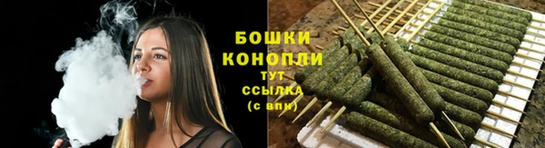стаф Нефтекумск