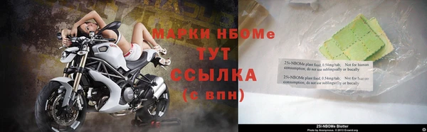 стаф Нефтекумск